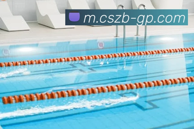 彩神争霸发展历程